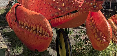Two Prominent Claws