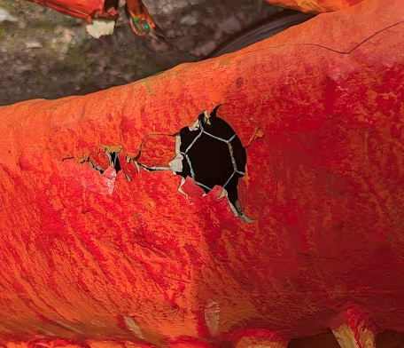 carapace Damage