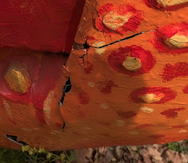 carapace Damage