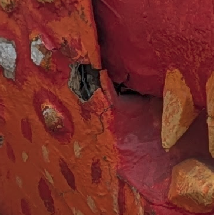 carapace Damage